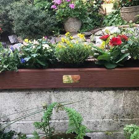 Bumble Bee Cottage Plymouth Ngoại thất bức ảnh