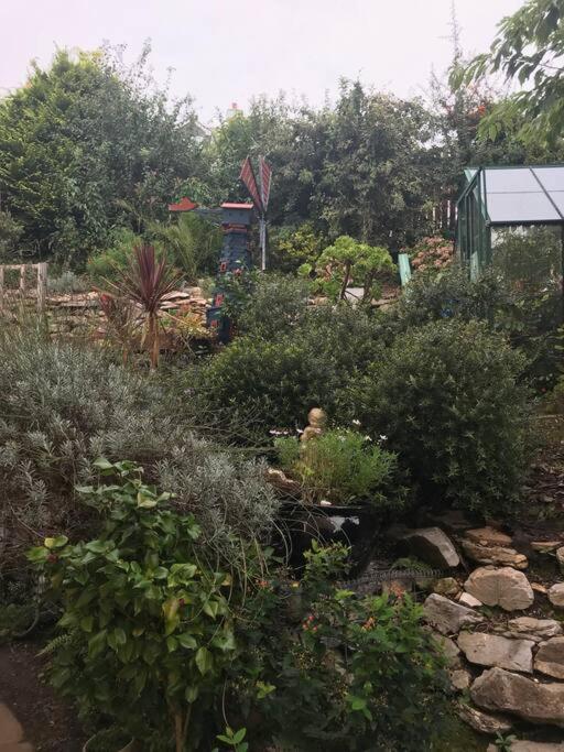 Bumble Bee Cottage Plymouth Ngoại thất bức ảnh