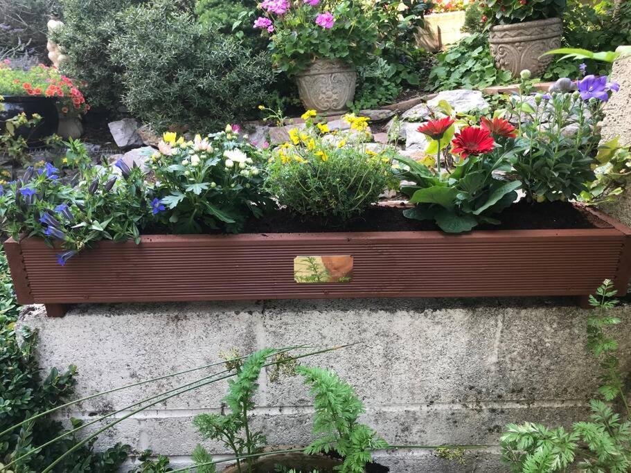 Bumble Bee Cottage Plymouth Ngoại thất bức ảnh