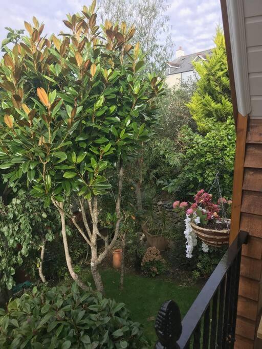 Bumble Bee Cottage Plymouth Ngoại thất bức ảnh