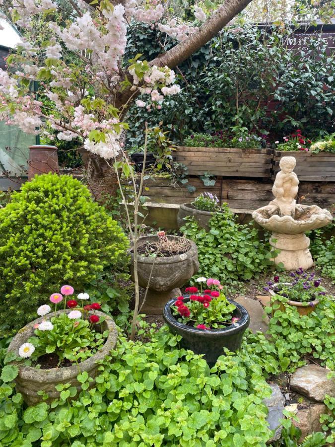 Bumble Bee Cottage Plymouth Ngoại thất bức ảnh